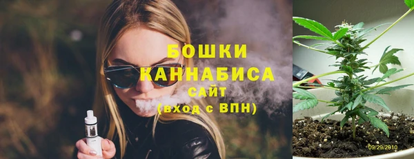 прущие грибы Киренск