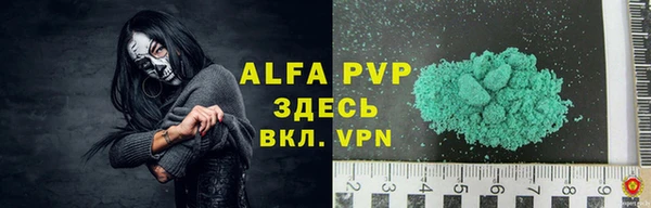 прущие грибы Киренск