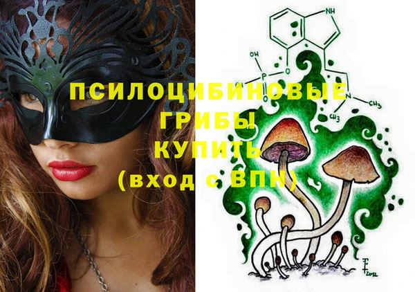 прущие грибы Киренск