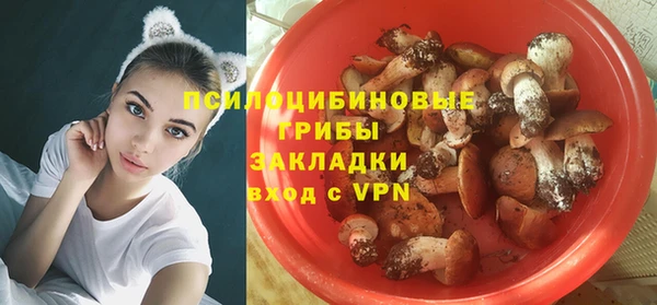 герыч Шадринск