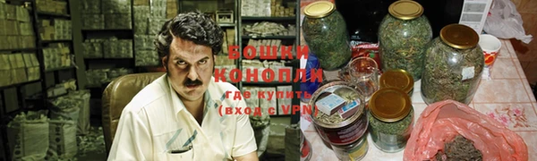 прущие грибы Киренск