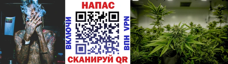 Конопля Ganja  Купить где  Межгорье 